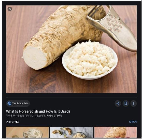 구글 사진 찾기 기능 사용방법