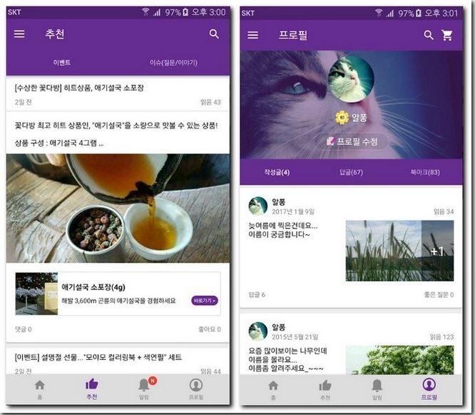 꽃검색 어플 휴대폰으로 꽃이름 찾는 방법 3가지