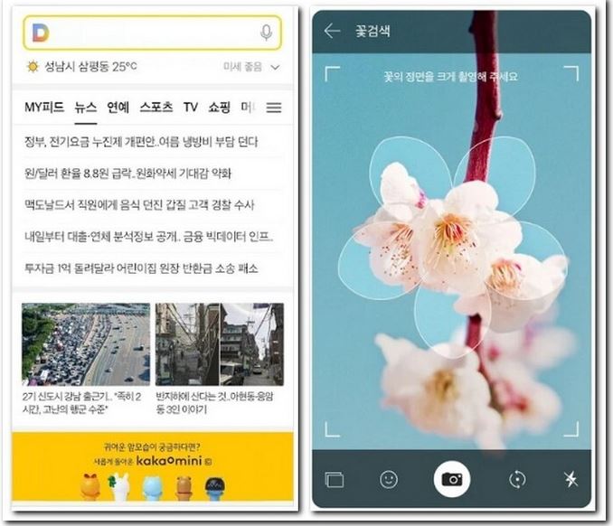 꽃검색 어플 휴대폰으로 꽃이름 찾는 방법 3가지
