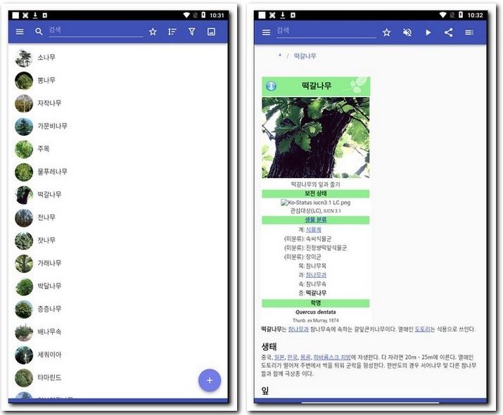 나무 종류와 사진 찾기 하는 법