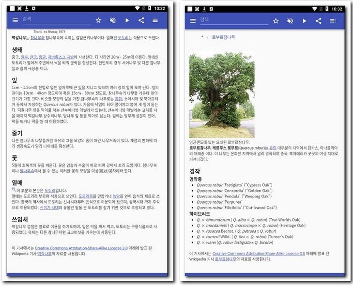 나무 종류와 사진 찾기 하는 법