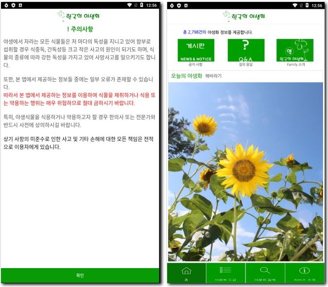식물 사진검색 이름과 종류 찾기