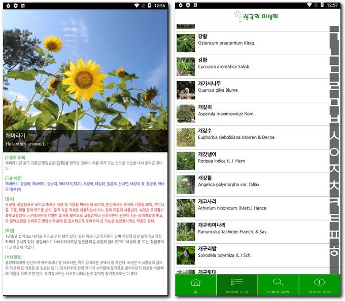 식물 사진검색 이름과 종류 찾기