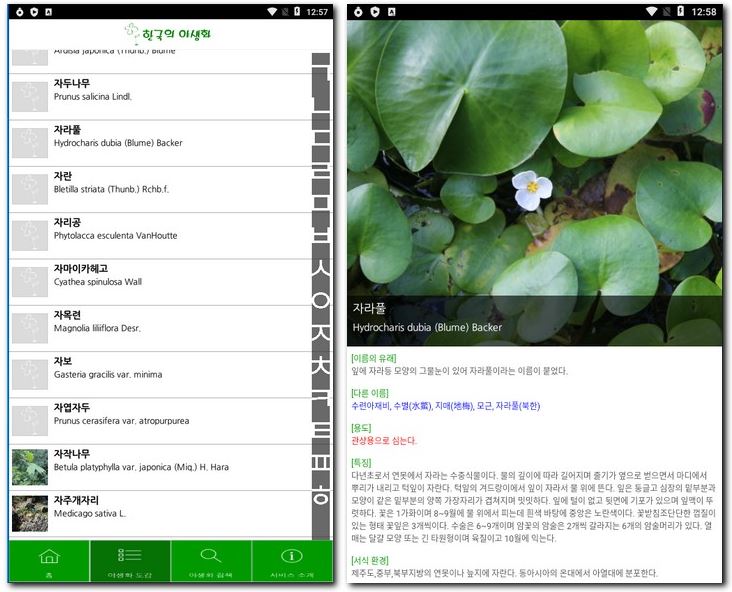 식물 사진검색 이름과 종류 찾기