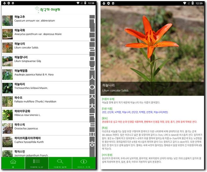 식물 사진검색 이름과 종류 찾기