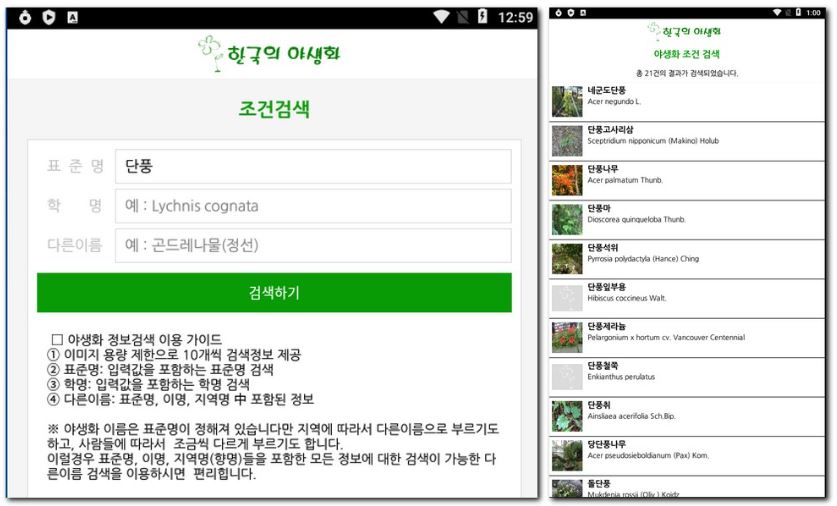 식물 사진검색 이름과 종류 찾기