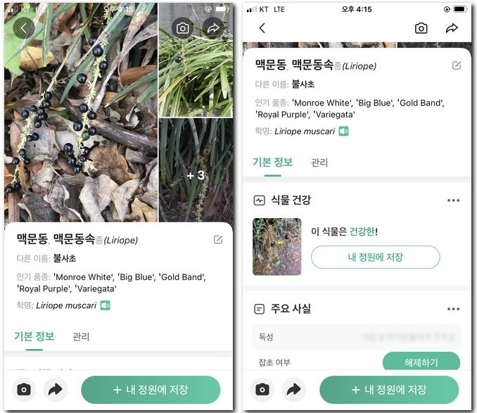 식물 열매 이름 검색 휴대폰으로 찾기