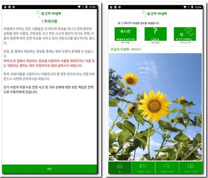 식물 찾기 앱으로 야생 식물 검색하기