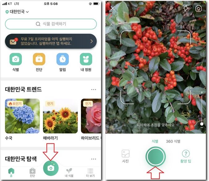 열매이름 찾기 앱으로 검색 방법