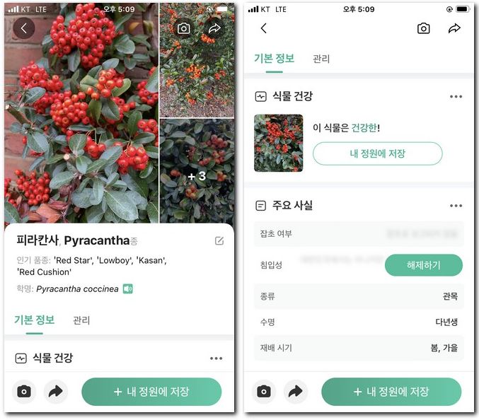 열매이름 찾기 앱으로 검색 방법