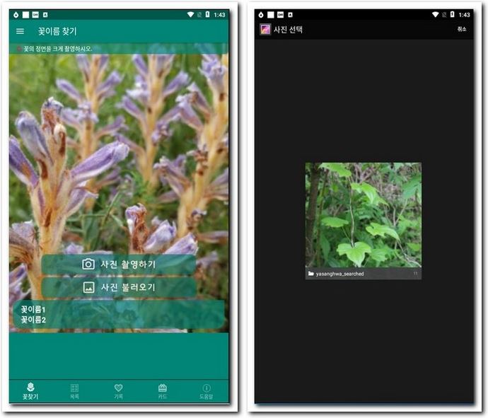 폰 카메라로 식물 이름 찾기 식물식별 어플