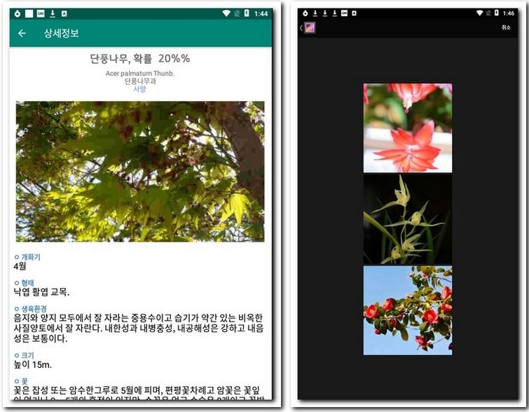 폰 카메라로 식물 이름 찾기 식물식별 어플