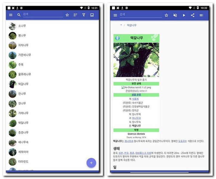 나무이름 검색 앱