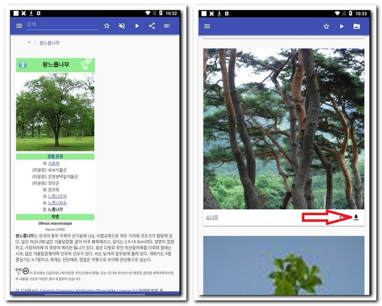 나무 사진 다운로드 받기
