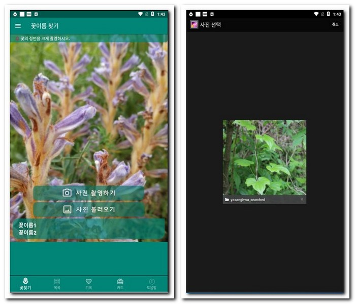 폰 카메라로 식물 이름 찾기 식물식별 어플