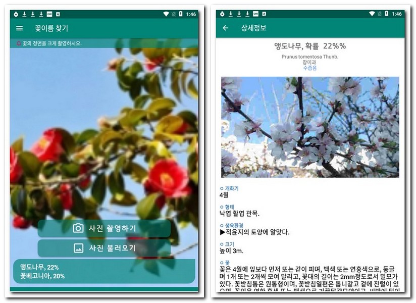 폰 카메라로 식물 이름 찾기 식물식별 어플