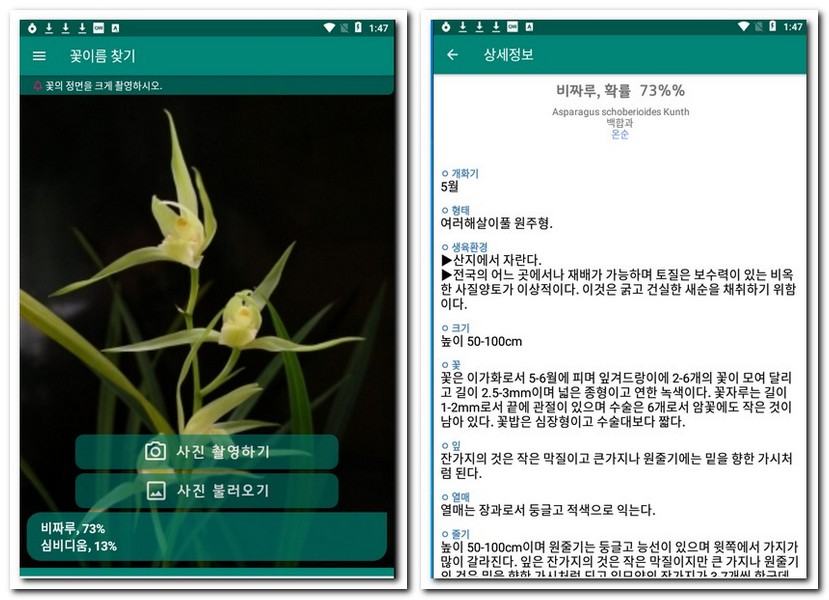 폰 카메라로 식물 이름 찾기 식물식별 어플