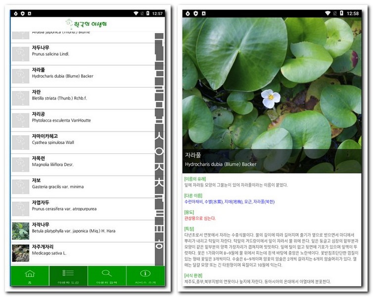 식물 찾기 앱으로 야생 식물 검색하기