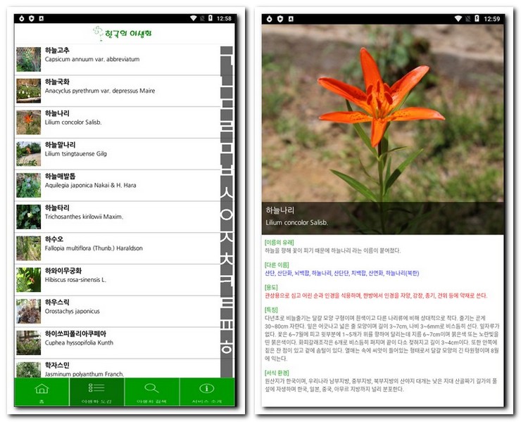 식물 찾기 앱으로 야생 식물 검색하기