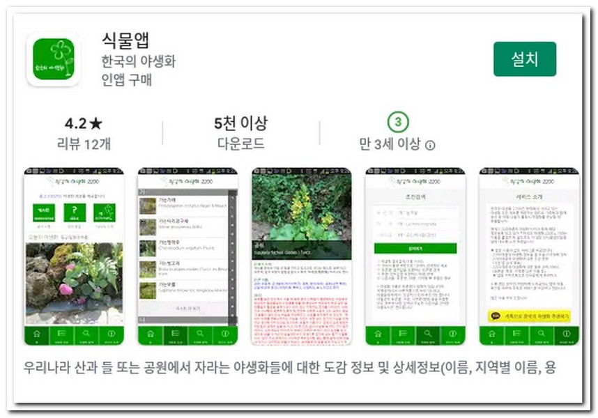 식물 찾기 앱으로 야생 식물 검색하기