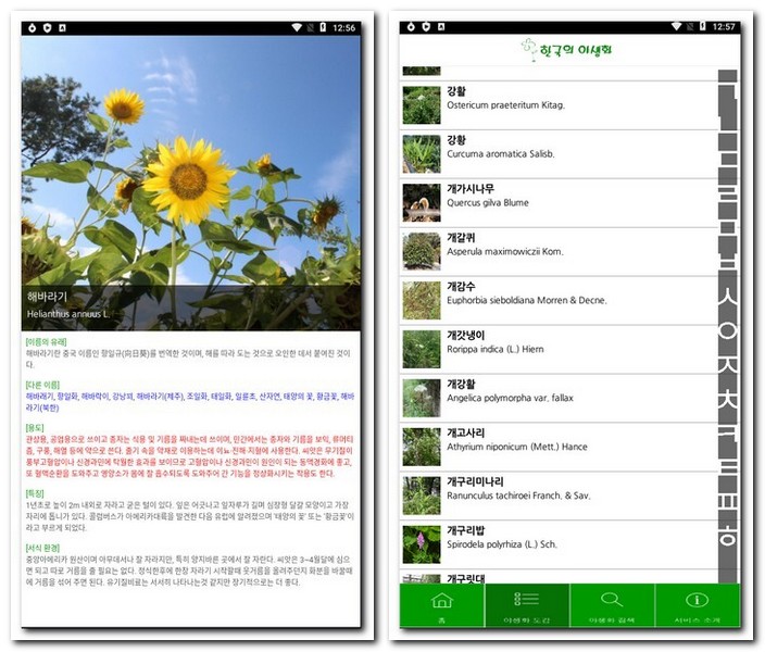 식물 찾기 앱으로 야생 식물 검색하기