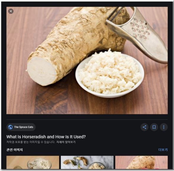 구글 사진 찾기 기능 사용방법